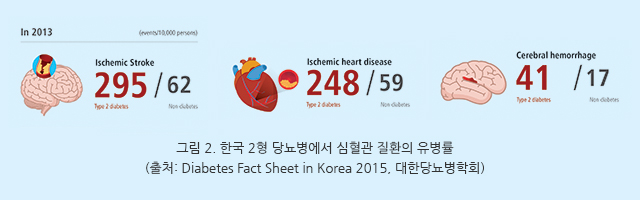 그림 2. 한국 2형 당뇨병에서 심혈관 질환의 유병률 / (출처: Diabetes Fact Sheet in Korea 2015, 대한당뇨병학회)