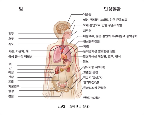 그림 1. 흡연 유발 질병