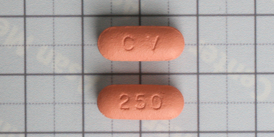 크라비트 정 [250mg] (Cravit tab [250mg])