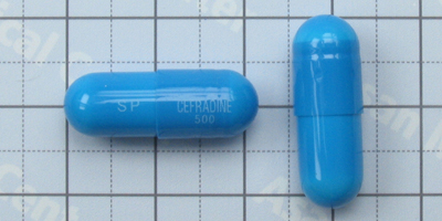 세프라딘 캡슐 [500mg] (Cefradine cap [500mg])