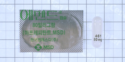 에멘드 캡슐 [80mg] (Emend cap [80mg])