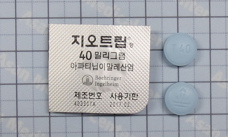 지오트립 정 [40mg] (Giotrif tab [40mg])