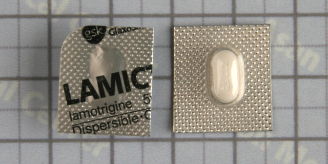 라믹탈 츄어블 정 [5mg] (Lamictal chewable tab [5mg])