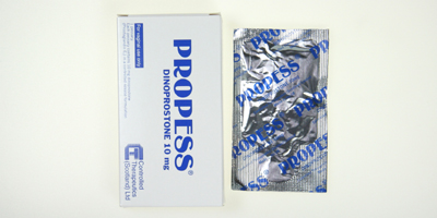 프로페스 질서방정 [10mg] (Propess vag SR tab [10mg])