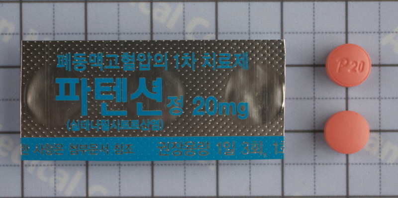 파텐션 정 [20mg] (Pahtension tab [20mg])