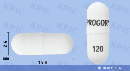 푸로골 서방캡슐 [120mg] (Progor SR cap [120mg])