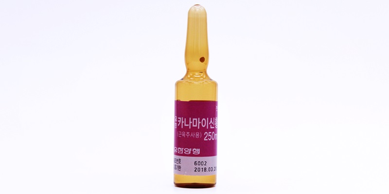 카나마이신황산염 주 (무상공급용/유한) [1g] (Kanamycin sulfate inj (무상공급용/유한) [1g])