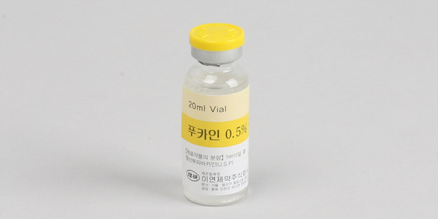 푸카인 주 0.5% [100mg] (Pucaine inj 0.5% [100mg])