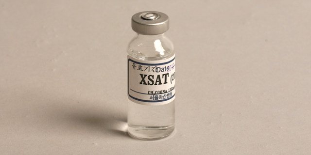 Sodium acetate inj (제제) [20ml] (Sodium acetate inj [20ml])