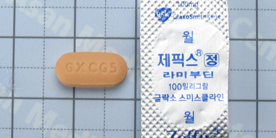 제픽스 정 [100mg] (Zeffix tab [100mg])