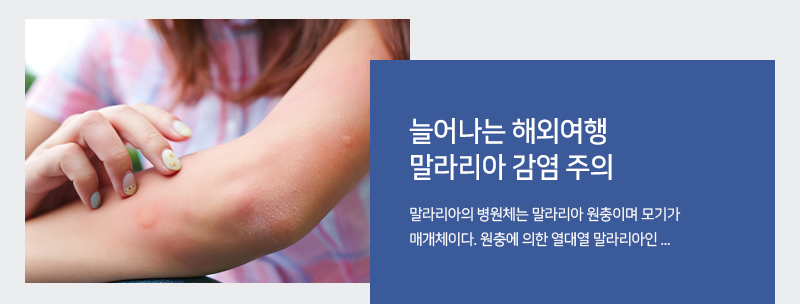 늘어나는 해외여행 말라리아 감염 주의