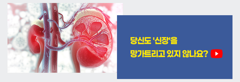 당신도 '신장'을 망가트리고 있지 않나요?